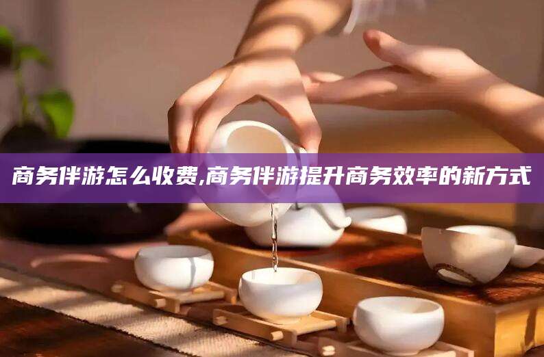 阿拉尔商务伴游怎么收费,商务伴游提升商务效率的新方式